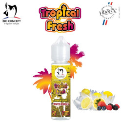 E-liquide Tropical Fresh 4...